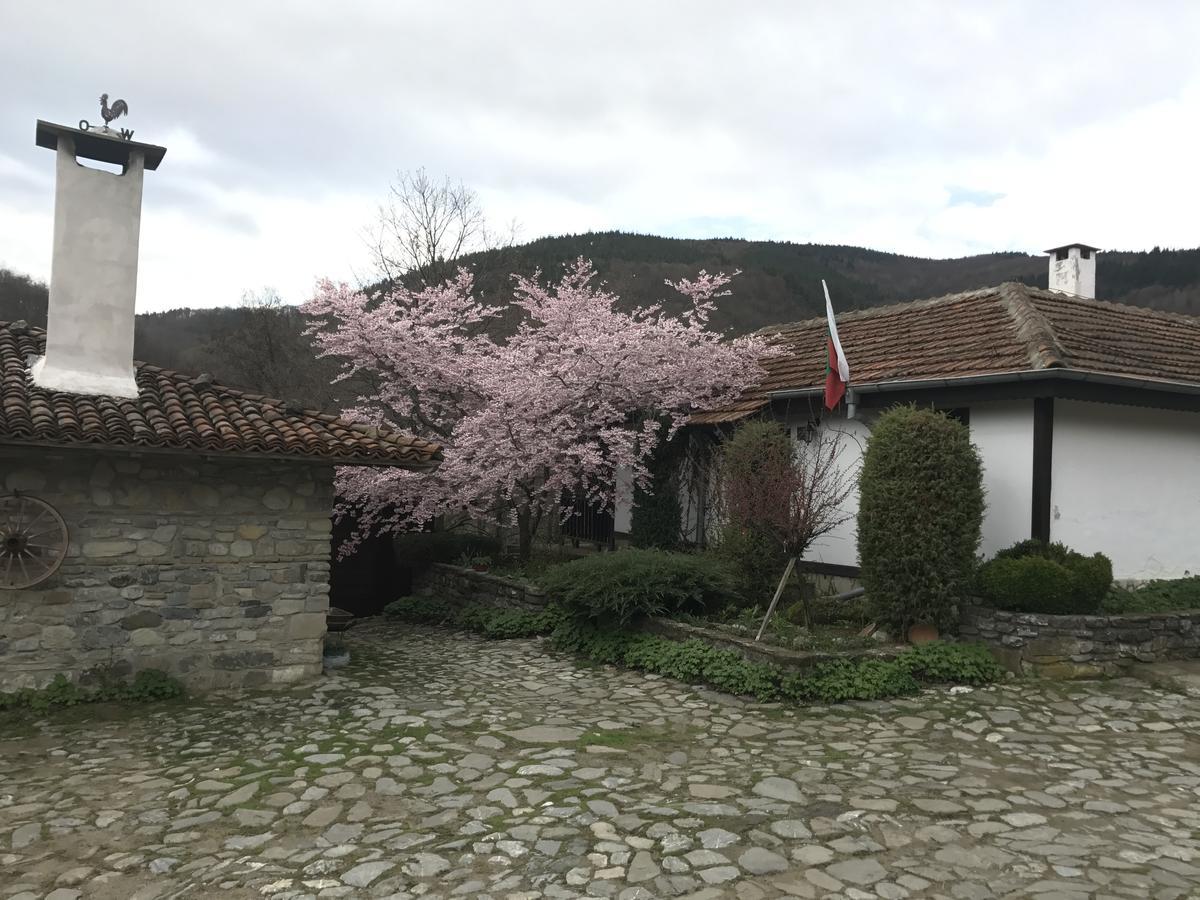 Hotel Divetsite Sliven 외부 사진